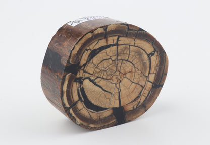 Stabilized mammoth ivory block