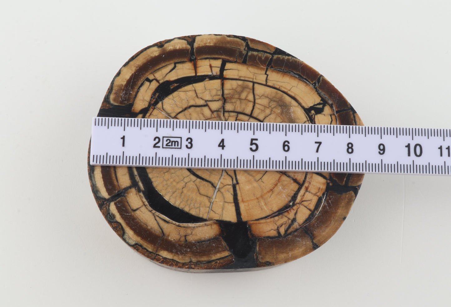 Stabilized mammoth ivory block