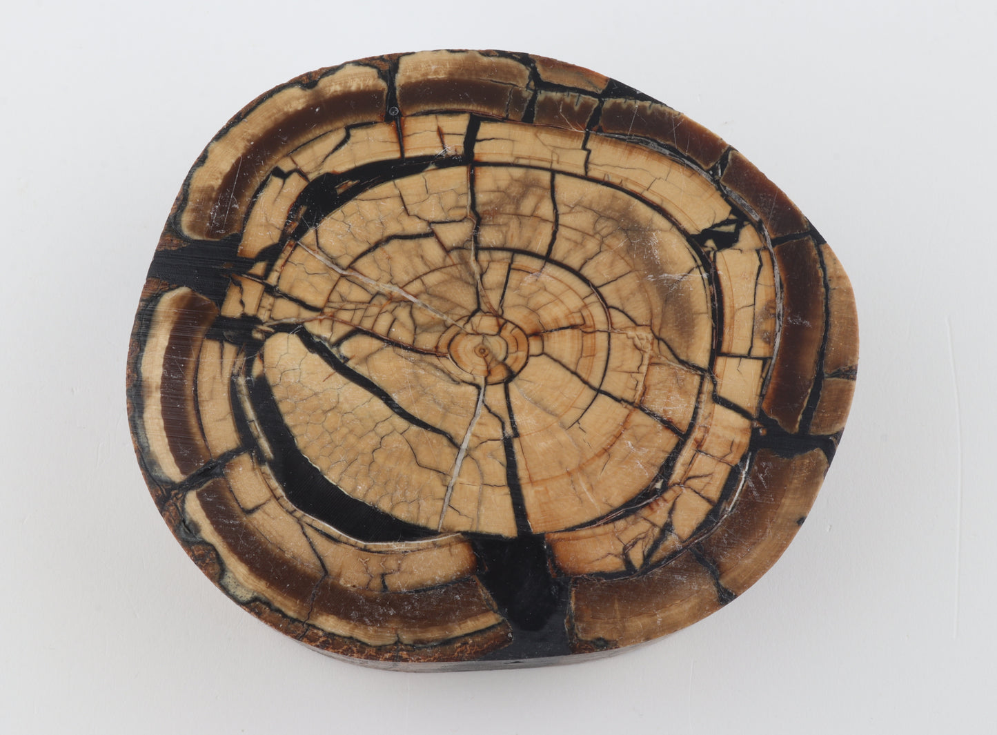 Stabilized mammoth ivory block