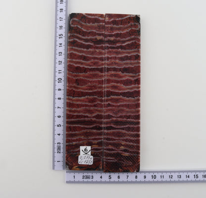 Stabilised mammoth molar scales