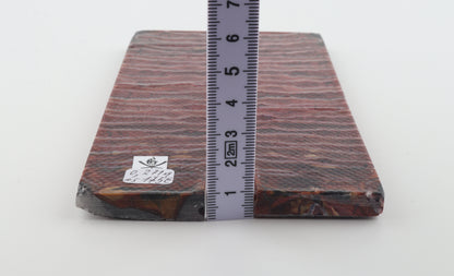 Stabilised mammoth molar scales
