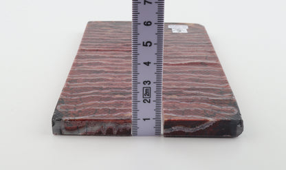 Stabilised mammoth molar scales