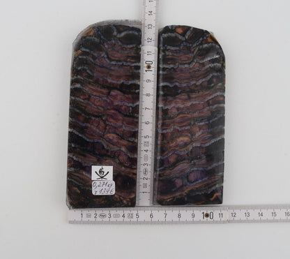 Stabilised mammoth molar scales