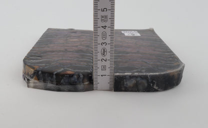 Stabilised mammoth molar scales