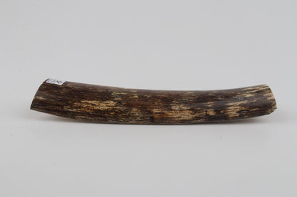 Brown mammoth bark