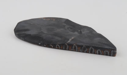 Stabilized mammoth molar slab