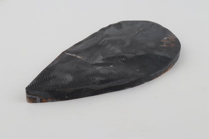 Stabilized mammoth molar slab