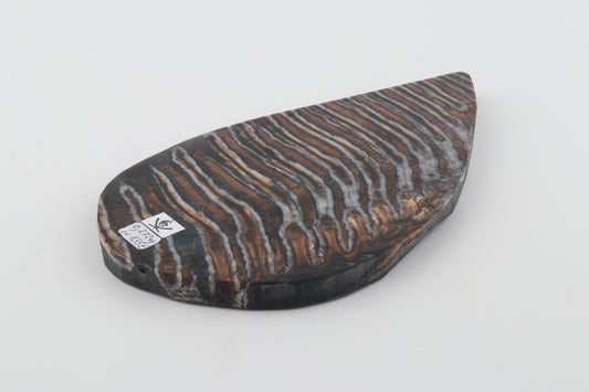 Stabilized mammoth molar slab