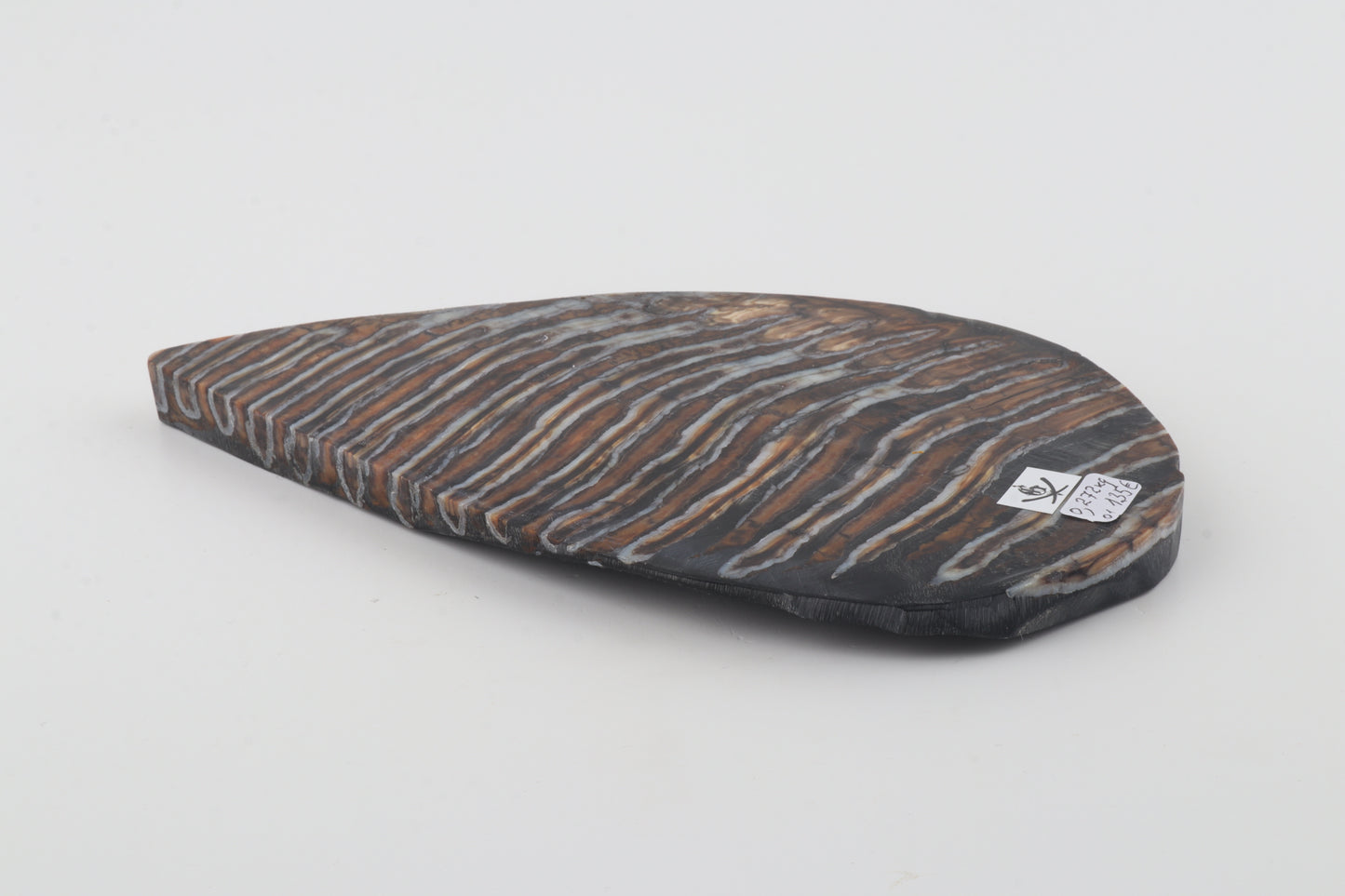 Stabilized mammoth molar slab