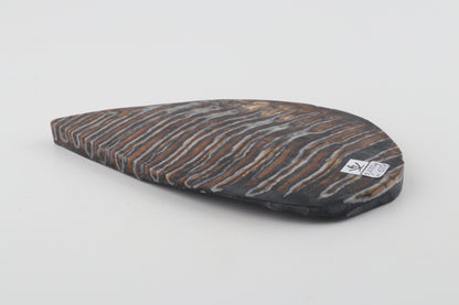 Stabilized mammoth molar slab