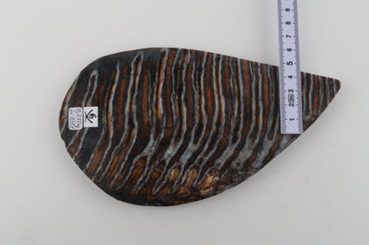 Stabilized mammoth molar slab