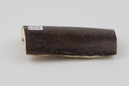 Brown mammoth bark