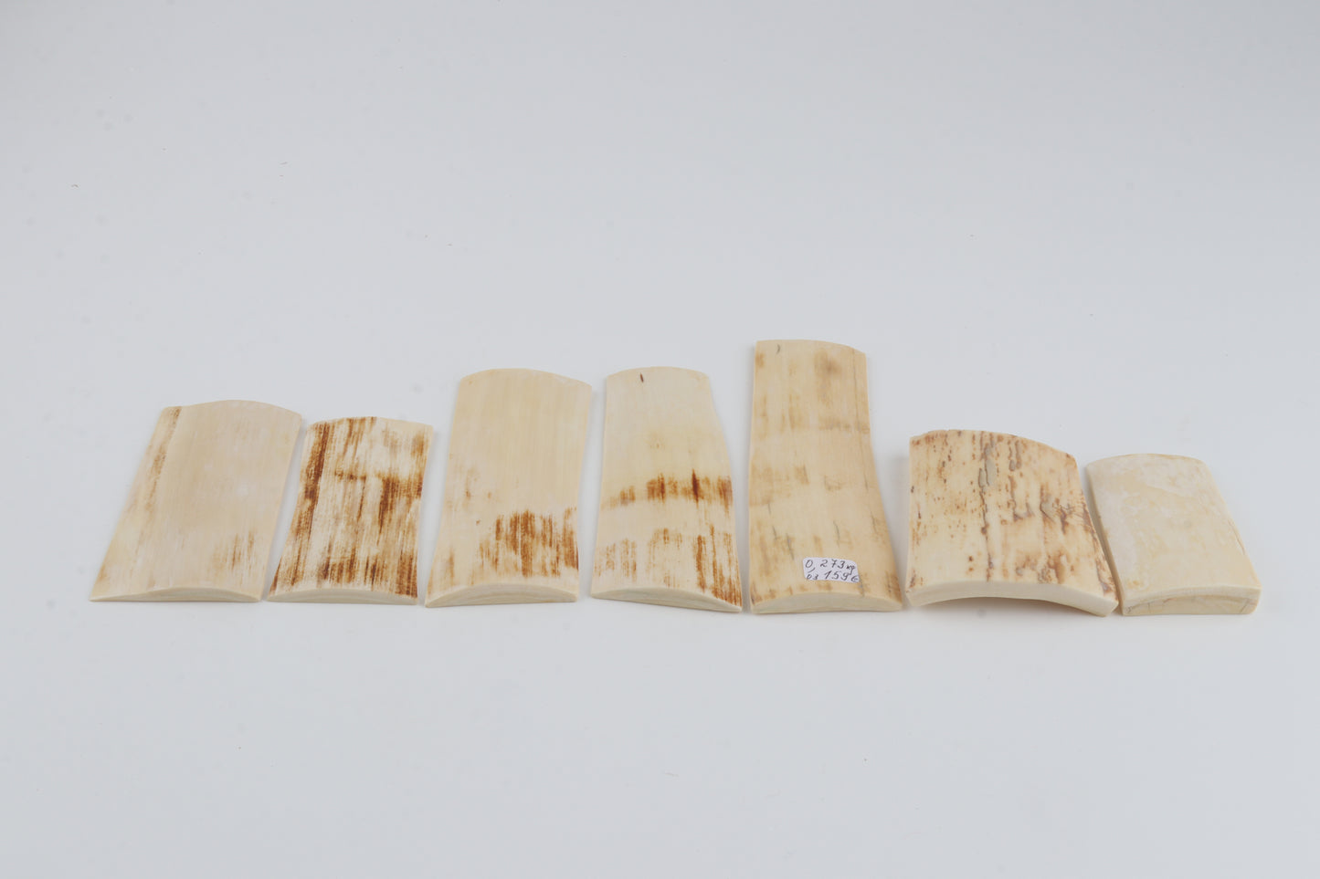 Natural mammoth bark pieces