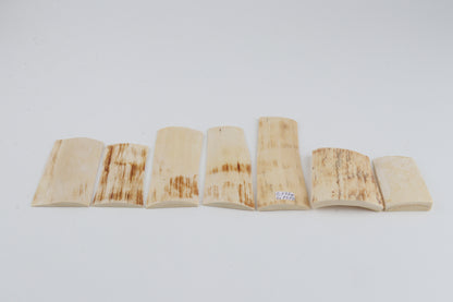 Natural mammoth bark pieces