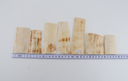 Natural mammoth bark pieces