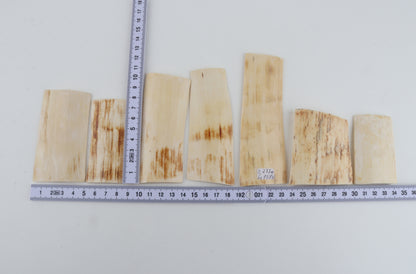 Natural mammoth bark pieces