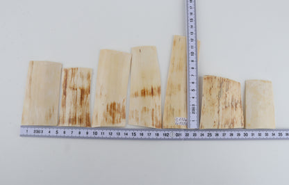 Natural mammoth bark pieces