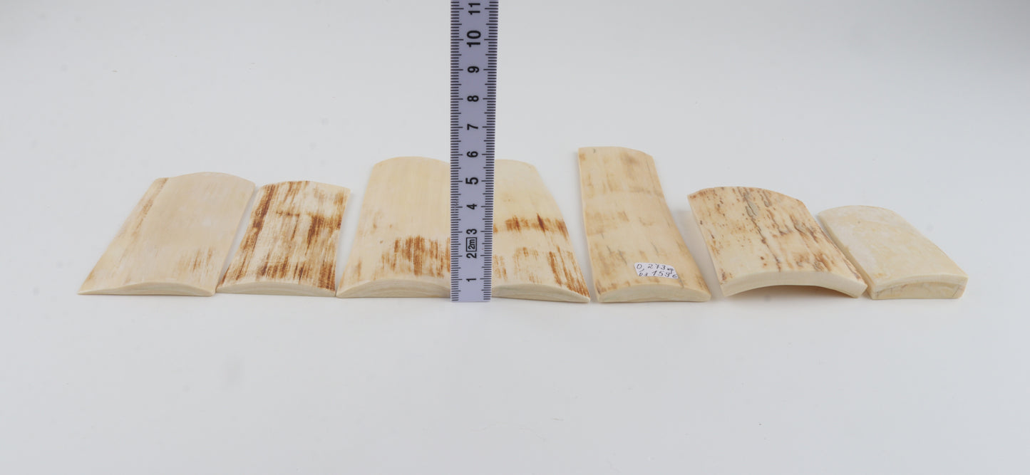 Natural mammoth bark pieces