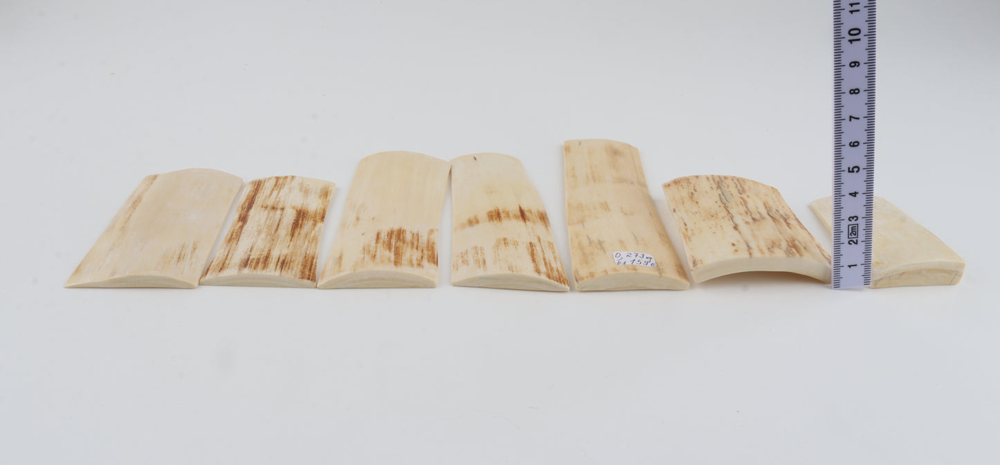 Natural mammoth bark pieces