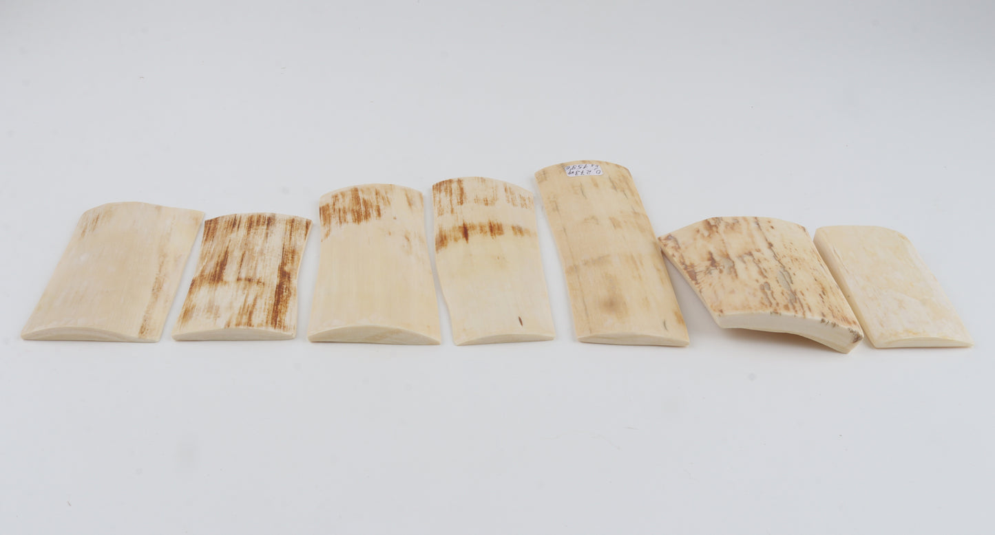 Natural mammoth bark pieces