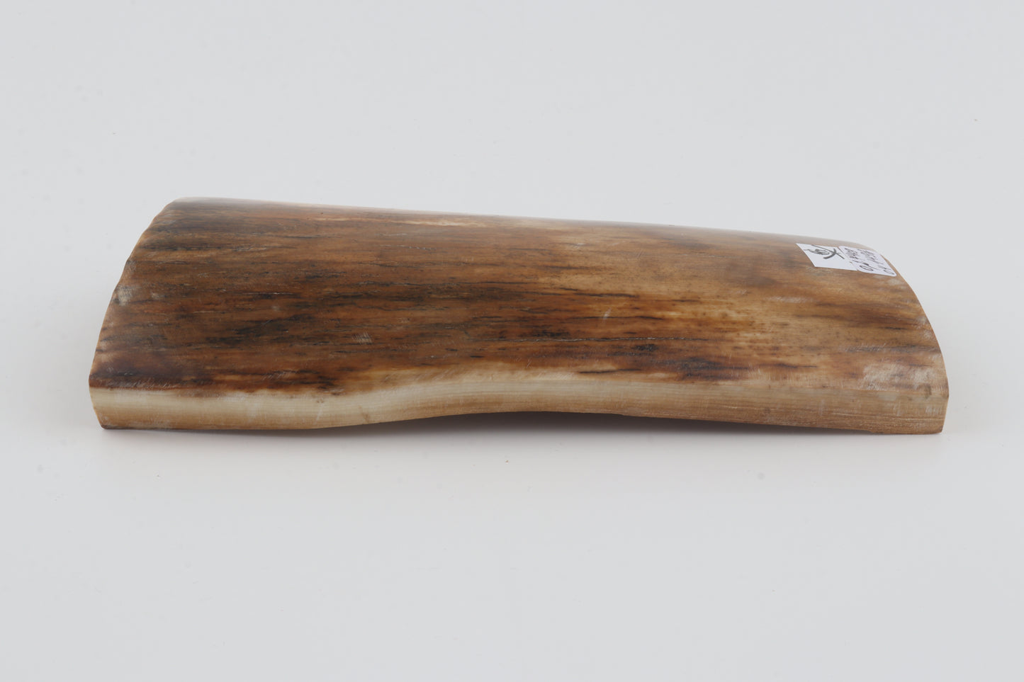 Beige mammoth bark