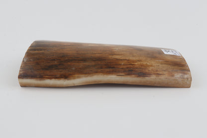 Beige mammoth bark