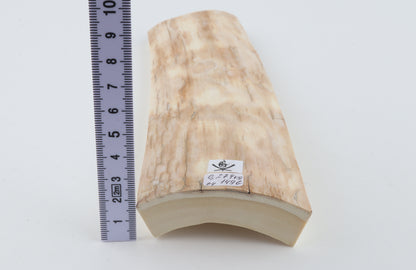 Creme mammoth bark