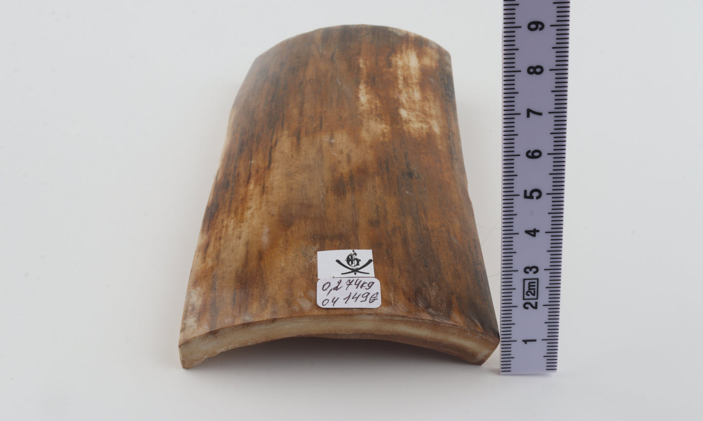 Beige mammoth bark