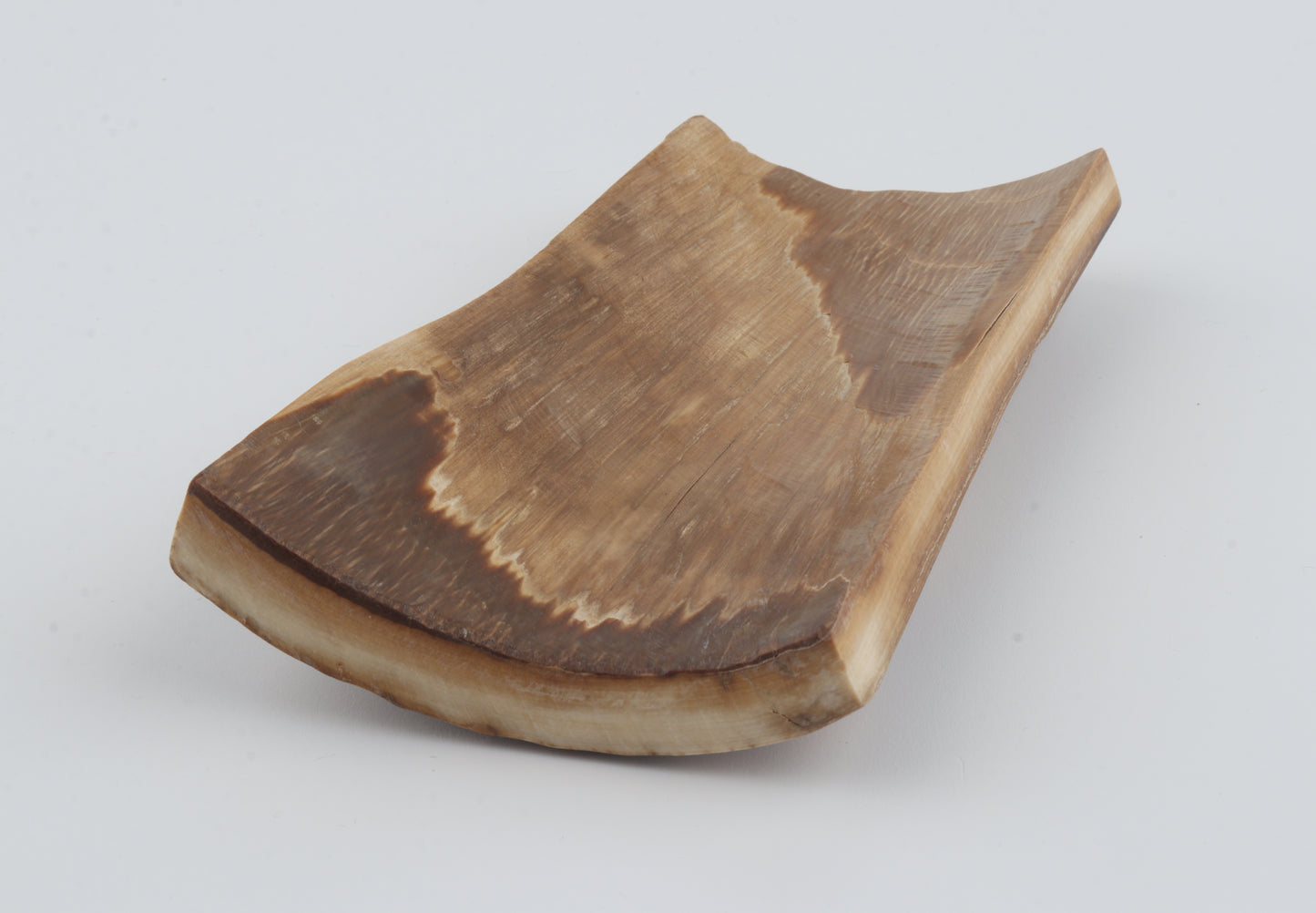 Beige mammoth bark