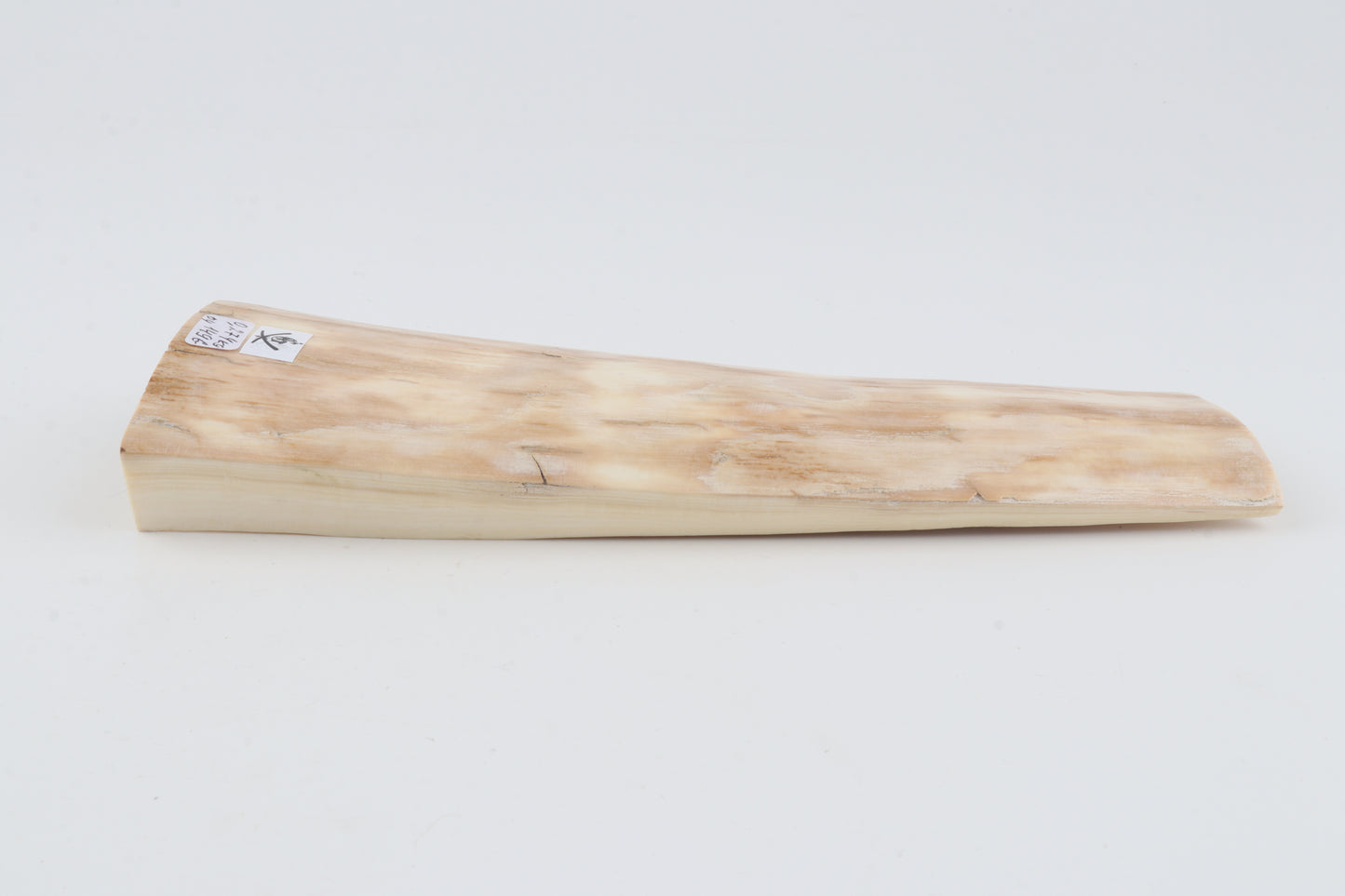 Creme mammoth bark