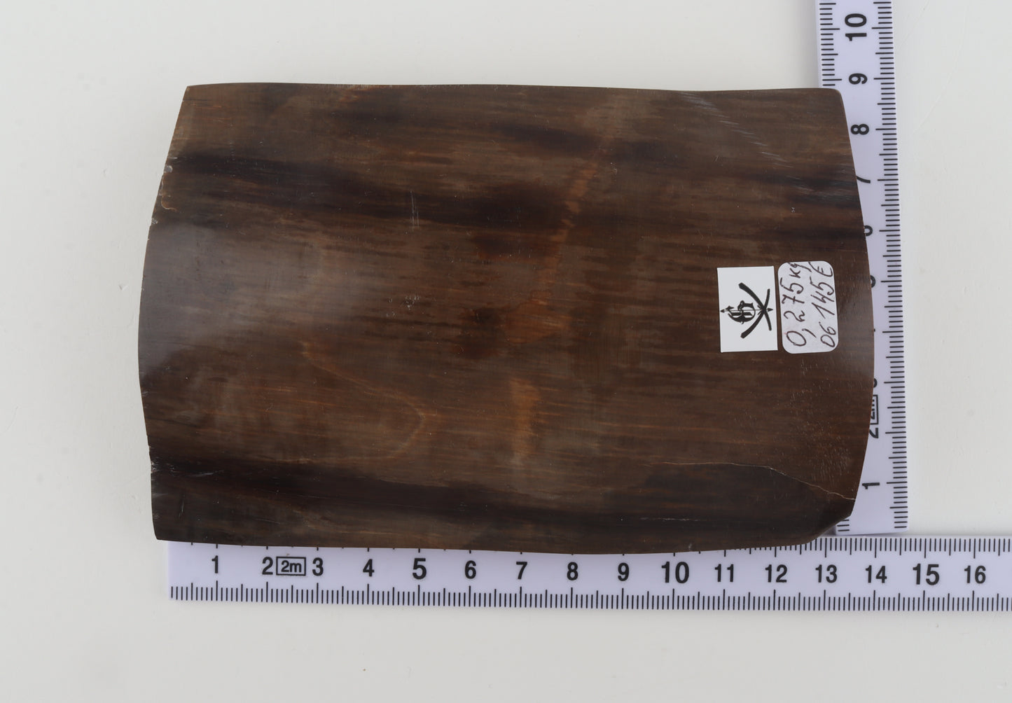 Brown mammoth bark