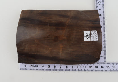 Brown mammoth bark