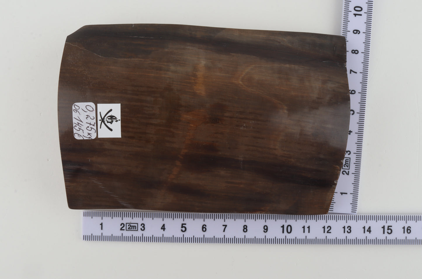 Brown mammoth bark