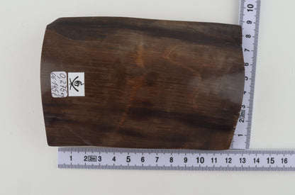 Brown mammoth bark