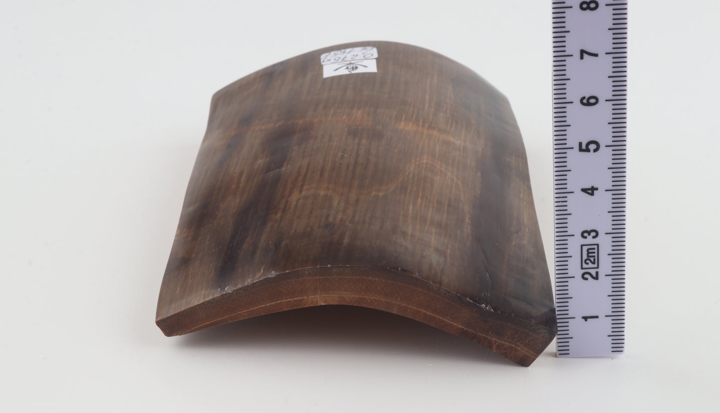 Brown mammoth bark