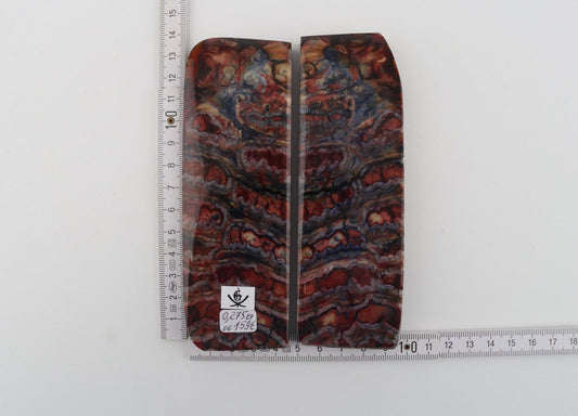 Stabilized mammoth molar scales