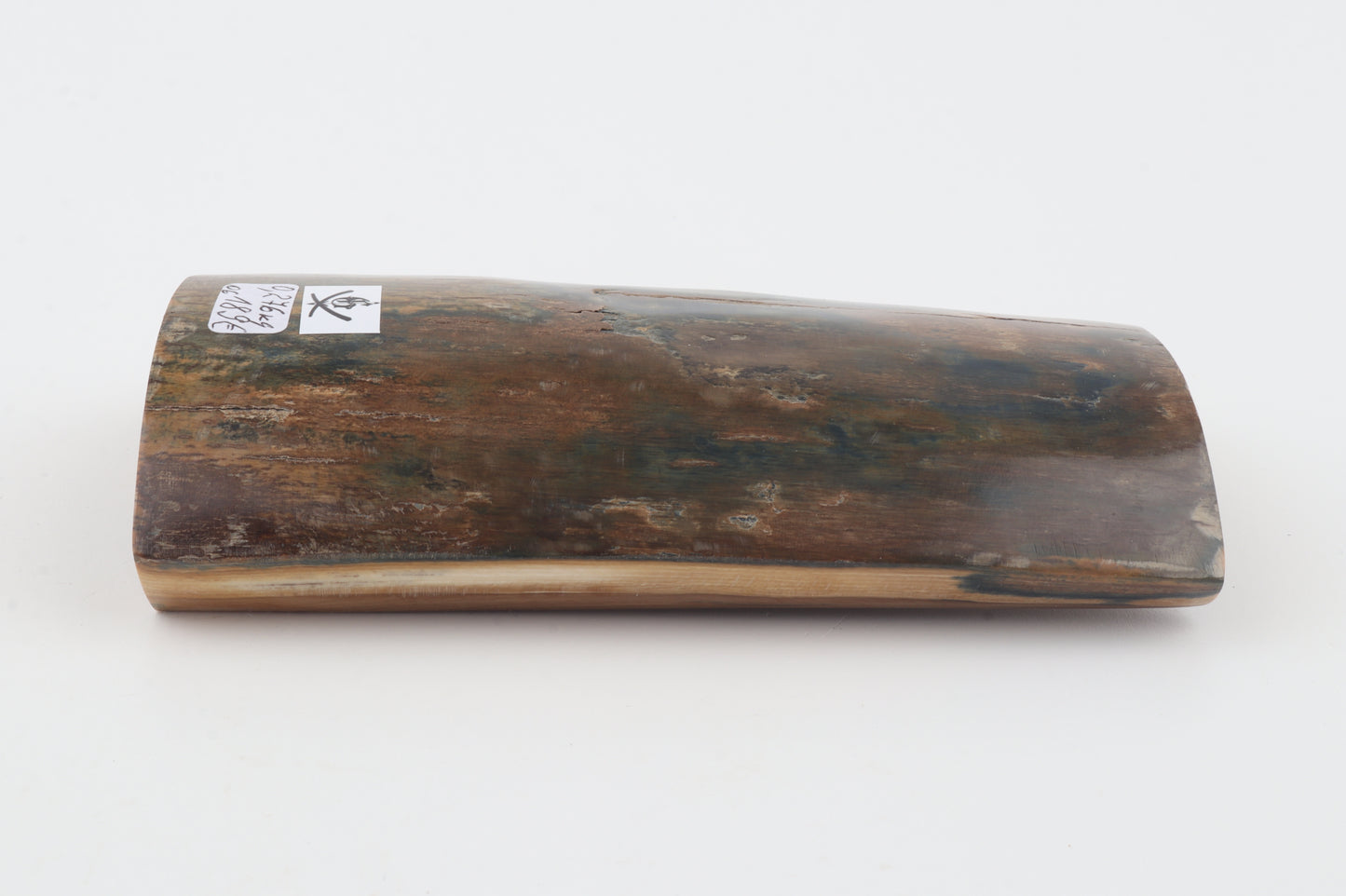 Natural woolly mammoth bark