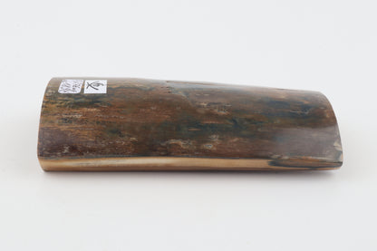 Natural woolly mammoth bark