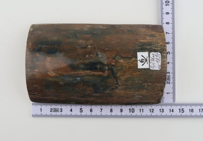 Natural woolly mammoth bark