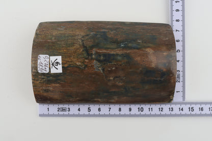 Natural woolly mammoth bark