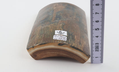 Natural woolly mammoth bark