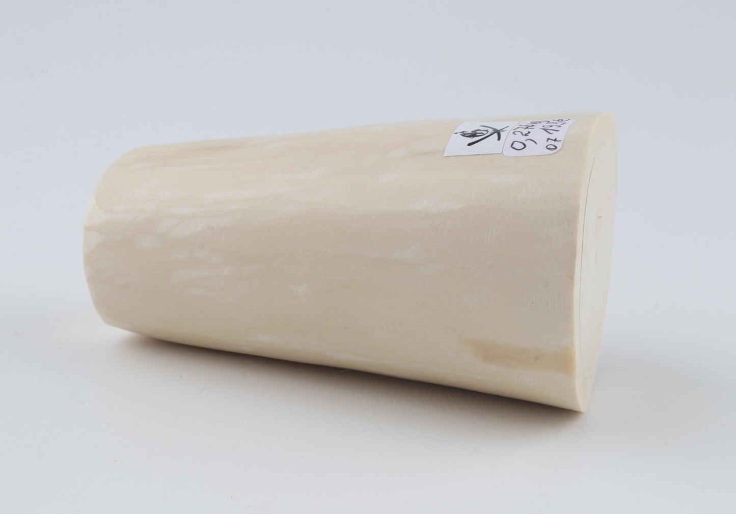 White mammoth tusk piece