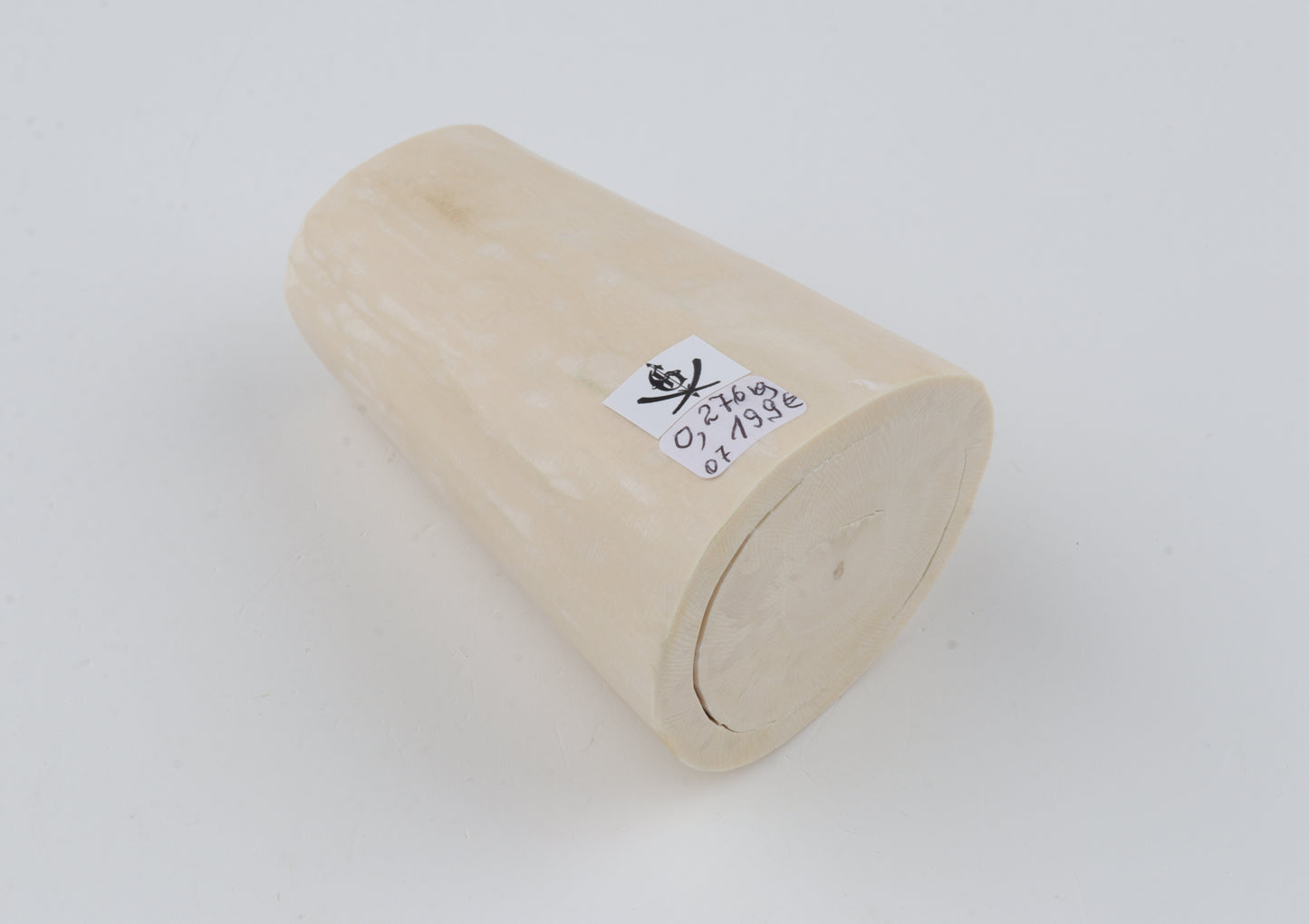 White mammoth tusk piece