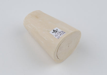 White mammoth tusk piece