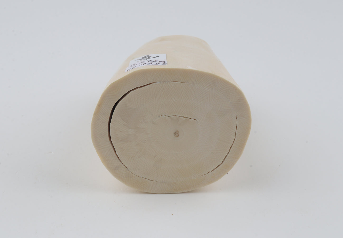 White mammoth tusk piece
