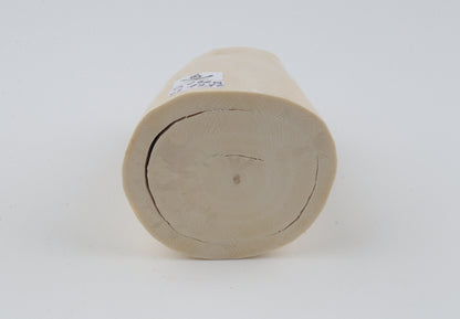 White mammoth tusk piece
