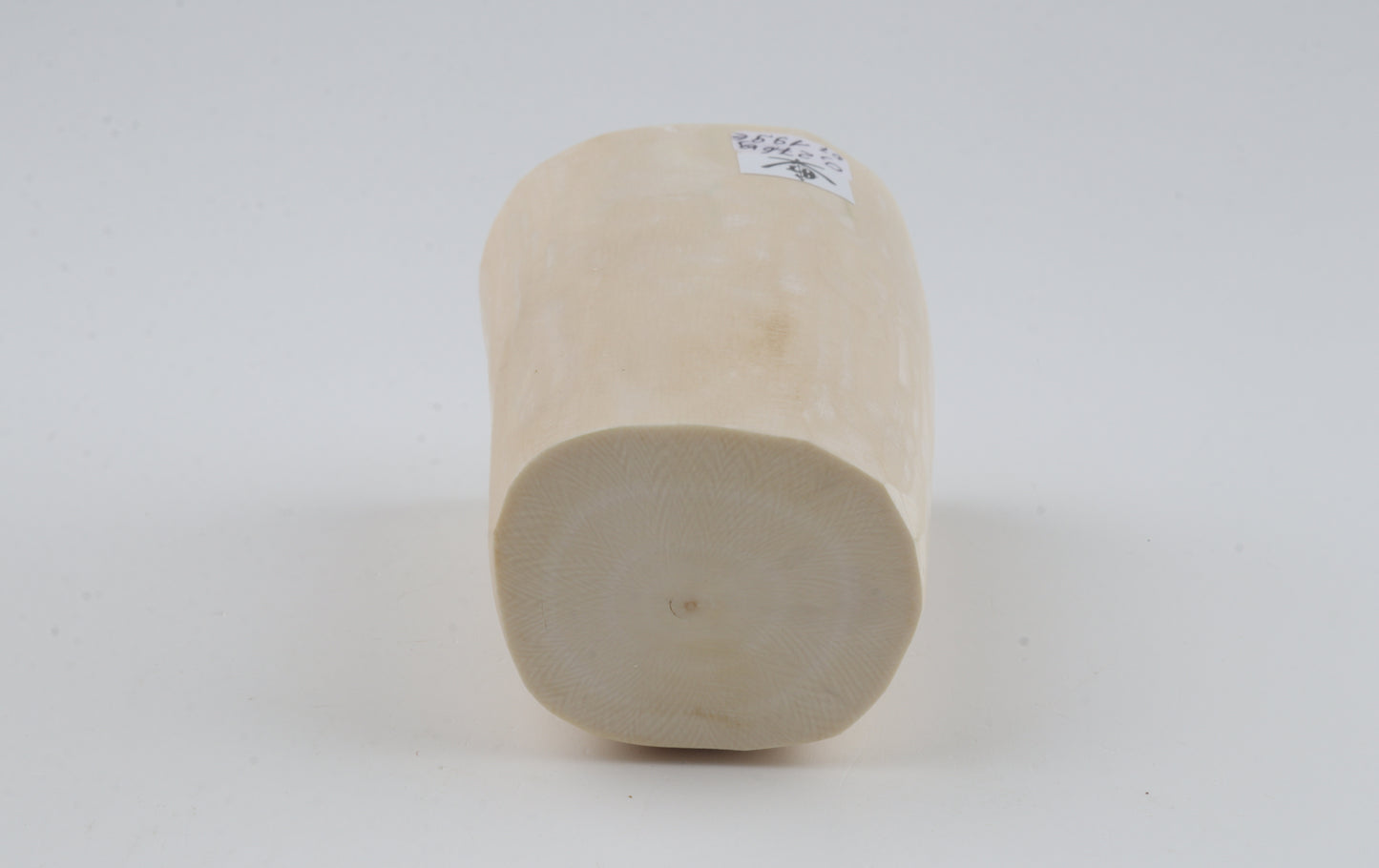 White mammoth tusk piece