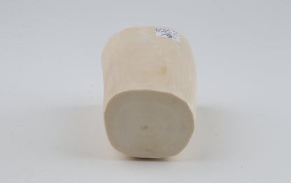 White mammoth tusk piece