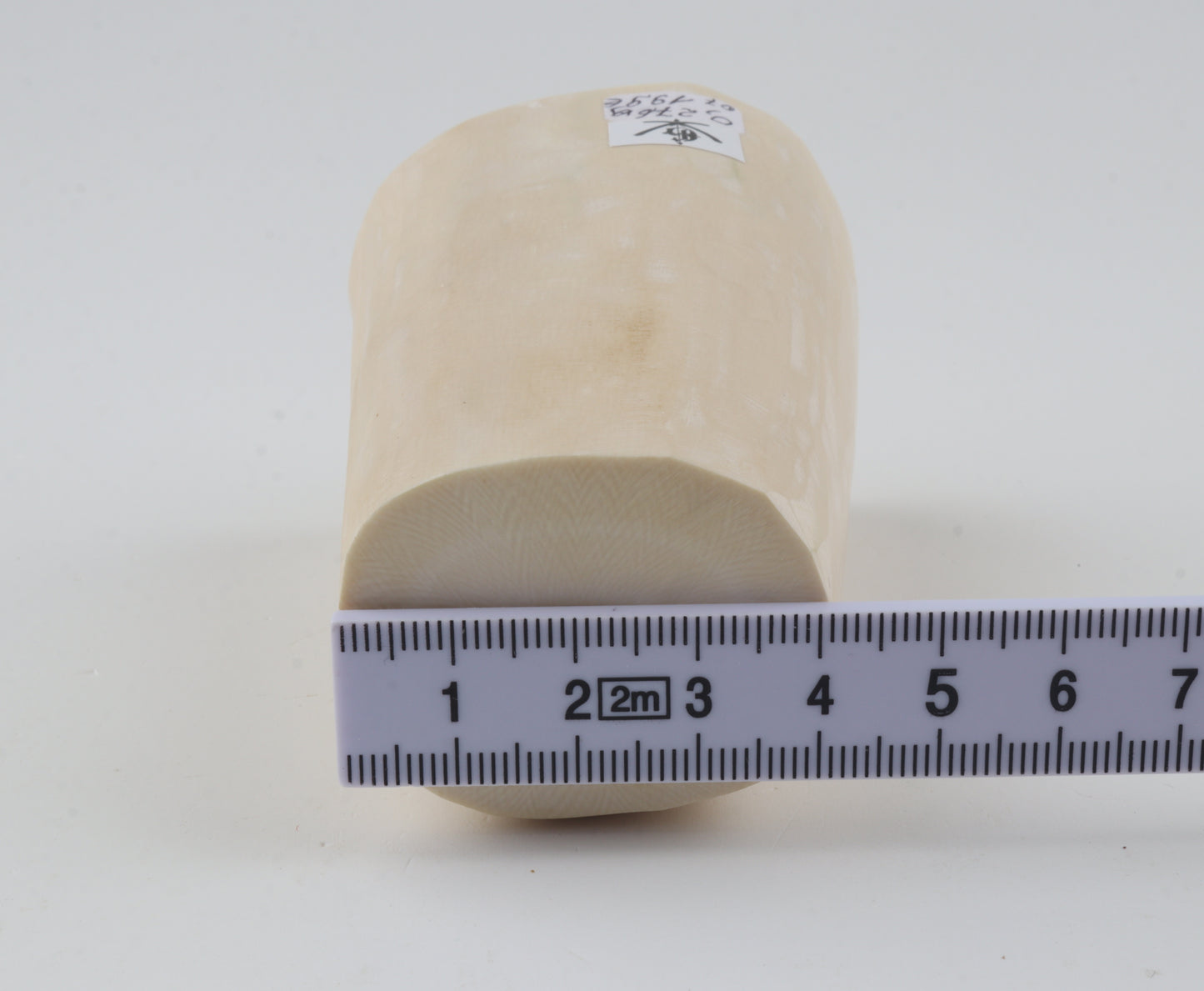 White mammoth tusk piece