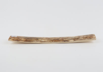 Orange mammoth bark